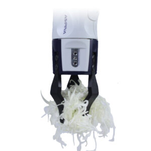 幅広爪でキャベツを把持する画像